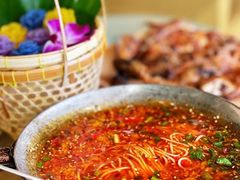 -西双版纳原始森林公园