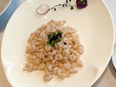 水晶虾仁-上海小南国(金桥国际广场店)