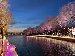 -黑窑厂糖油饼烤鸭·清真菜(黑窑厂街店)