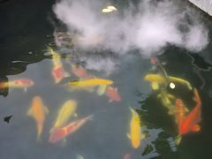 -西安市广仁寺