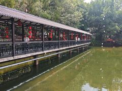 -侨美·唐荔园·40年地道粤菜