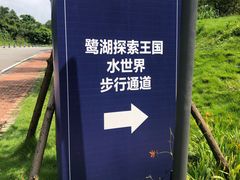 -美的鹭湖探索王国