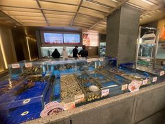 景观位-船歌·鱼水饺青岛菜(闽江二路店)