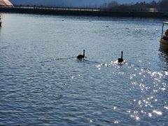 -南京汤山紫清湖生态旅游温泉度假区