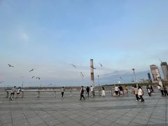 -东港音乐喷泉广场