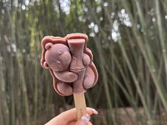 -成都大熊猫繁育研究基地