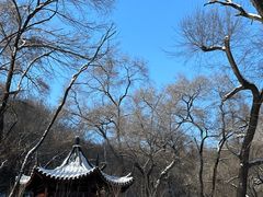 -北山公园