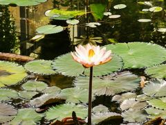 -常州花鸟园酒店(西太湖品牌优选店)