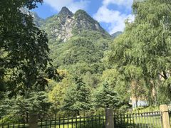 -陕西省红河谷森林公园