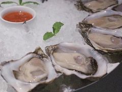 -Oyster Talks 四度蚝法餐厅
