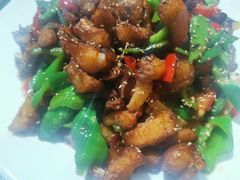 -煲来饱去冷水鱼