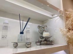 -YESIDO椰岛造型