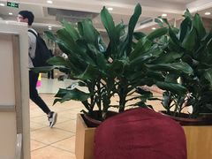 -花好悦园(瀛洲店)