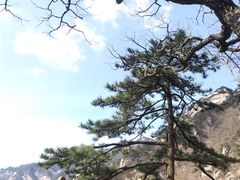 -罗田天堂寨风景区