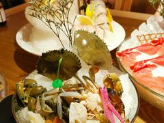 -尚海豆捞(乐虹坊店)