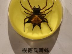-石家庄万象城
