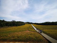-大连铭湖国际观光牧场