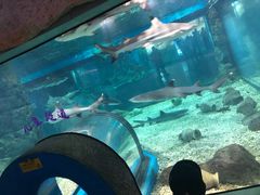 -福州罗源湾海洋世界旅游区