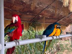 -西霞口神雕山野生动物世界