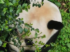 -黔灵山公园