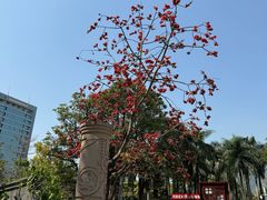 -四海公园(南山区)