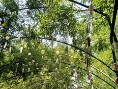 -陶祖圣境风景区