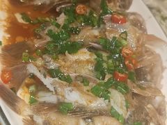 -金海湾海鲜排档(朱家尖店)