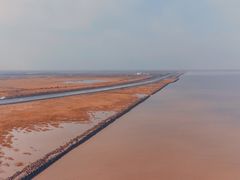 -南汇嘴观海公园