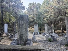 -北京鹫峰国家森林公园