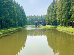 -黄海国家森林公园