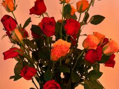 -GODIVA(万象城店)