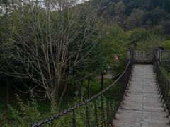 -三块石国家森林公园