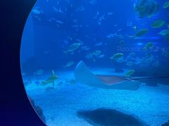 -常州海昌海洋探索馆
