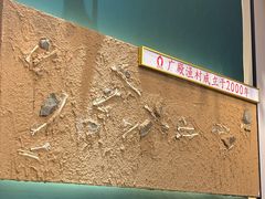 -广殿渔村(高桥店)