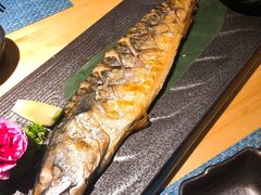 -深蓝金枪·深海鱼刺身(吉大店)