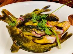 -老凯俚酸汤鱼(鸿通城店)