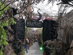 -The Grounds of Alexandria
