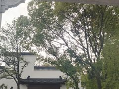 -东湖落雁景区