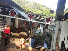 -满記土窑烧鷄波浪山莊