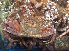 -蟹之国·精品蟹料理(极地店)