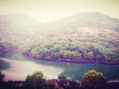 -白马涧龙池景区