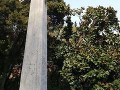 -叶家花园