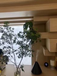 -OM瑜伽教练培训学院