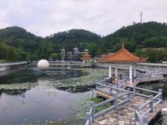 -红山村