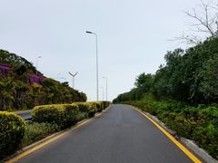 -黄金海岸环岛路