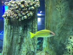 -福州罗源湾海洋世界旅游区