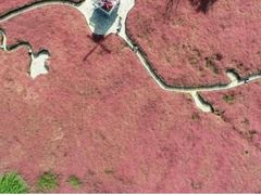 -羊亭河湿地公园