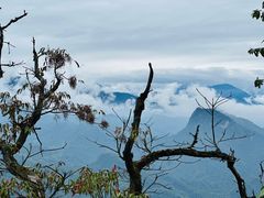 -青城山