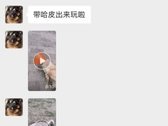 -泰洋动物医院·神经专科·磁共振·CT(天河公园总院)
