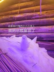 -圣名游乐城冰雪大世界